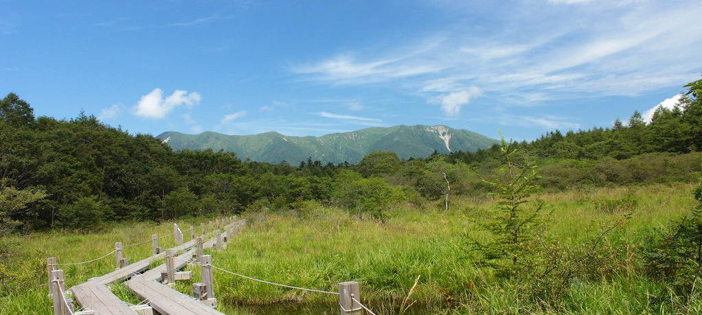 W1230ߐ{́wxƐiw[R_΁x