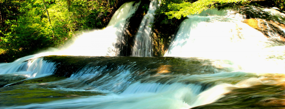 �w�F�̂��ׂ��x�ƈ����G��k���̑�߂���I������������