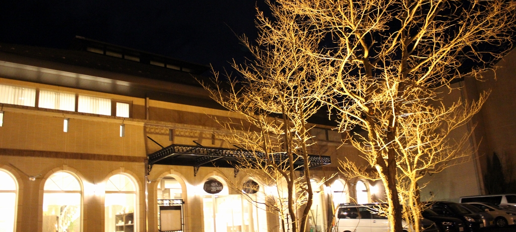 ߐ{ARՂޑ啽uzeEtVIߐ{vŐɏo