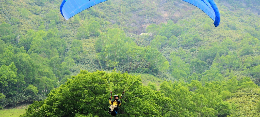 ߐ{̑ŒɂȂ낤upOC_[v󗷑̌I