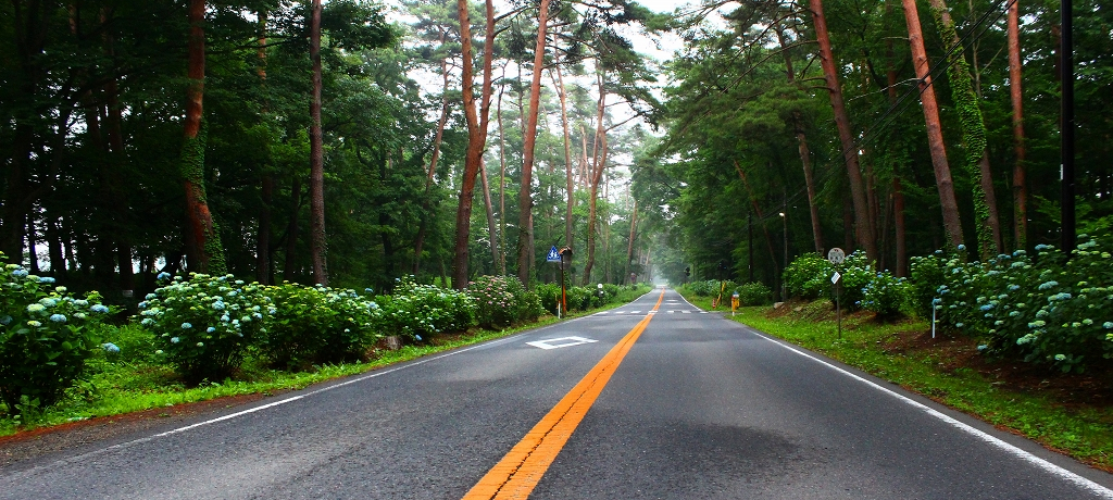 ���X�Rkm�����u���z�ԁv�������I�ߐ{�X���ԏ��т̎��z�ԂƎR�S���̌Q��