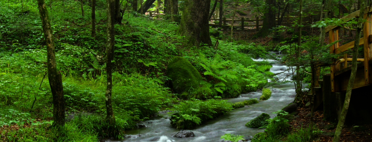 SSI1ʁIȖ،umNQvŖ̌kUI