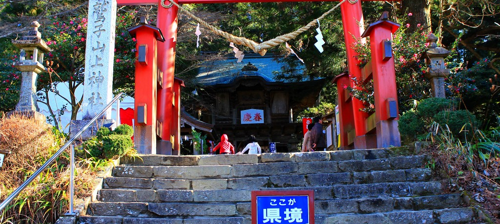 ӂ낤ĂԍK^IuhqR_Ёv͓Ȗ؁E錧̋̓p[X|bg