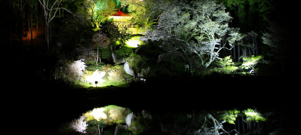 �ߐ{�����̍��̖��͂͗��j�`���̖���Ñ���̖����ɂ���I