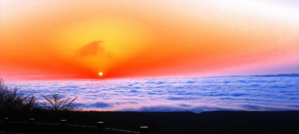 _CgtɔR܂ŁIߐ{EKH̐iTI