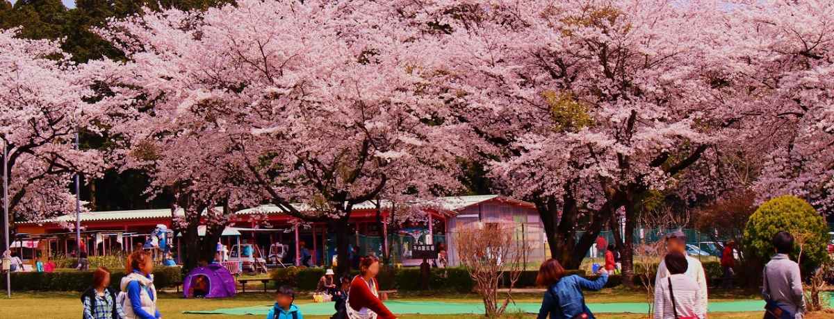 ����OK�I���J�̍��ɉ���E�O�����𖞋i�A�ߐ{�u��{���q��v