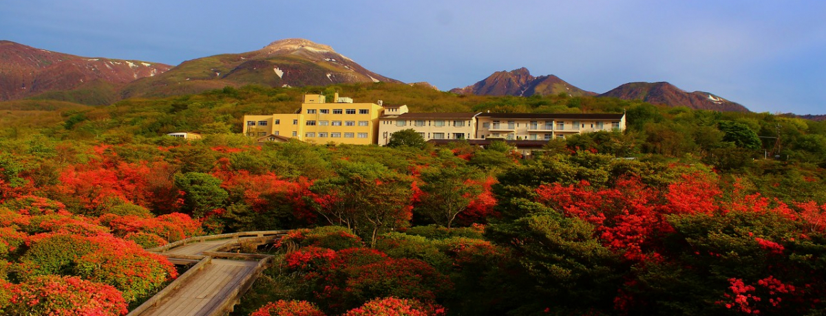 ̌Iߐ{ũccWQnv́g蕗i100IhɂIo