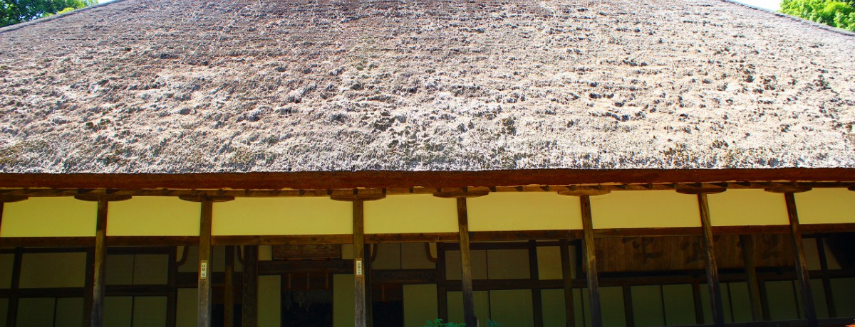 ̎OYV[Yɓo!Ȗ؁EcsuYv͗H`LȌÙ