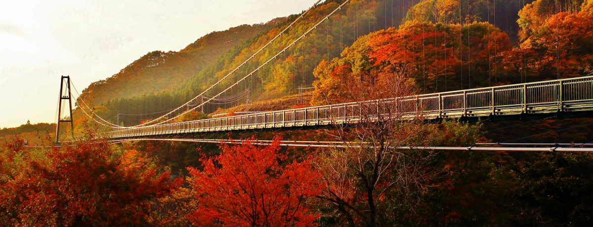 gt̖nEȖؓߐ{ui݂̒苴ƑvU