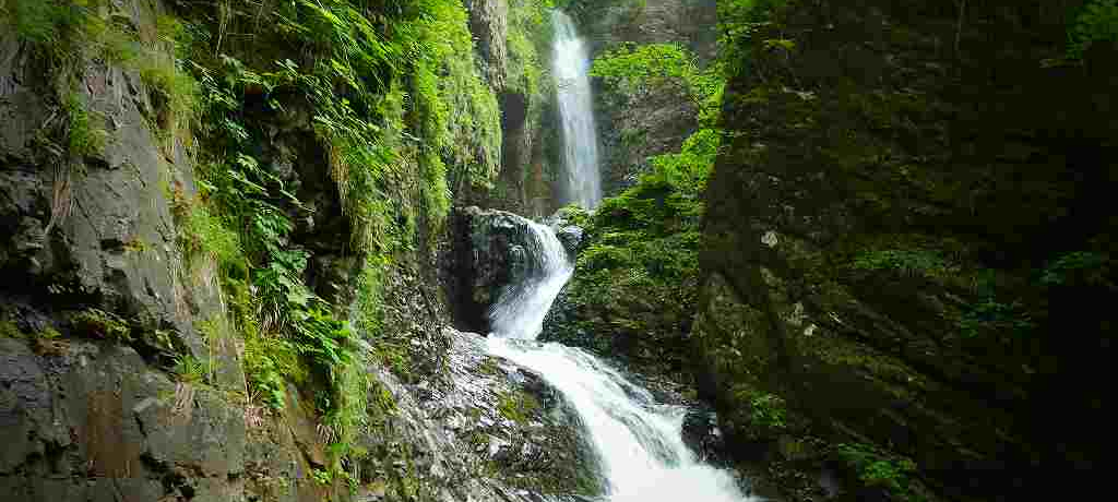 ߐ{ő́ȗv݂苴ƌzIȗVy