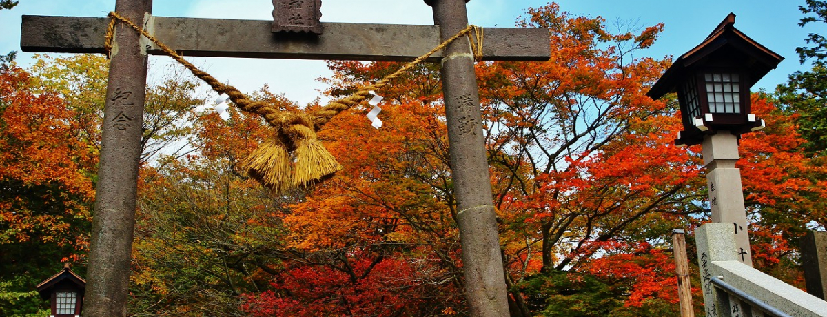 �g�t�ɖG���鋭�̓p���[�X�|�b�g�u�ߐ{����_�Ёv�ŉ^�C�A�b�v��