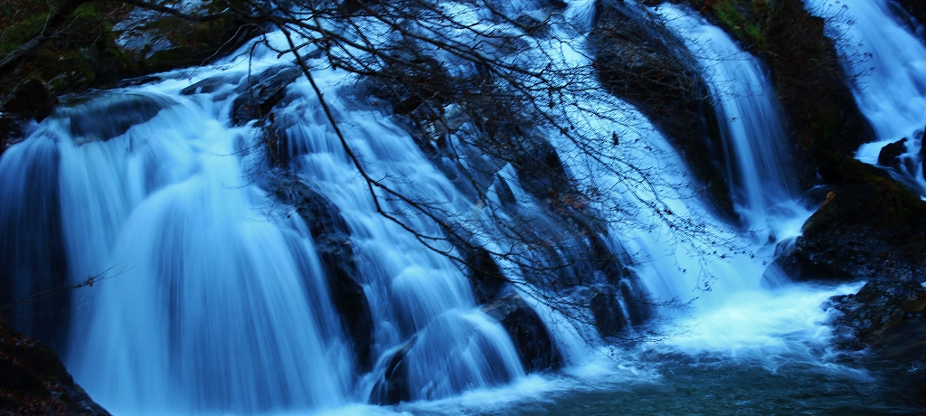 L쑺u]c̑Vvɂ̓j[NȖȎꂪI