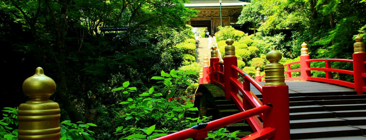 G~W&|т̐EIߐ{̐iX|bg͂I