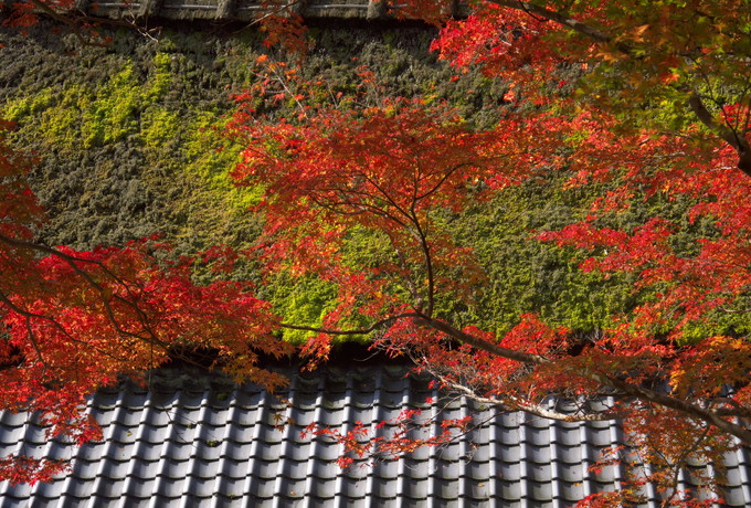 mȂ鋞s̍gtI삩瑫L΂čsX|bg