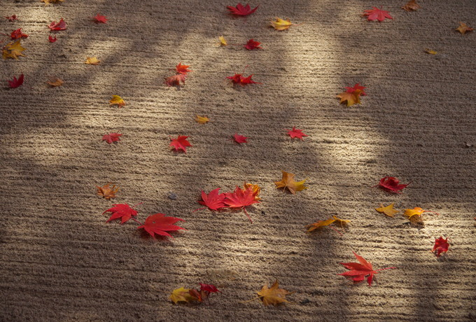 gtƒ뉀DȂ▭̐FʁIsEku哰v