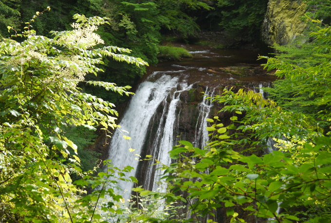 }CiXCIςȁuJkJvőꏄ悤I