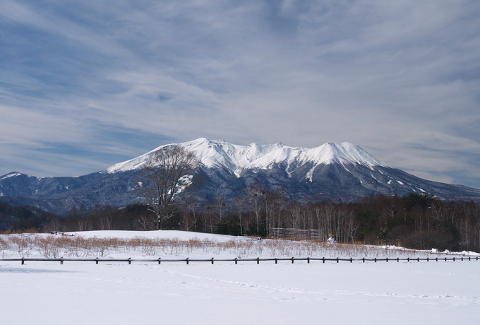 ����ؑ]�H�͓~�i�F�������I��΂Ɍ������~�̐�i�T�I