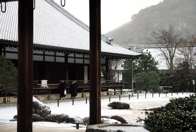 ��i�F�̋��s���R�u���E��Y�V�����v���������I