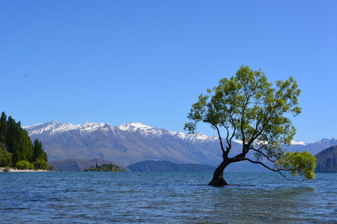 my쓇uNC[Y^EvƁuiJ΁v̕íA܂łvoɎcI