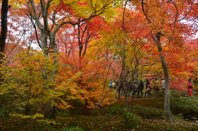 s̊u߉ޓvt߂ł߁IIgtX|bg