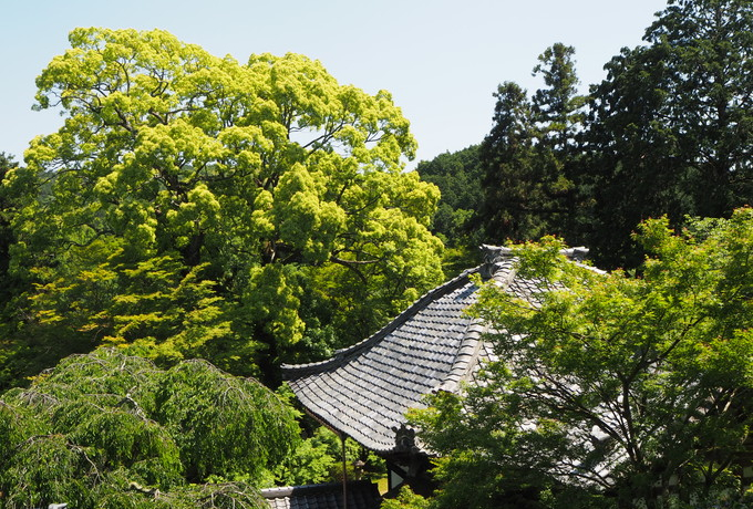 sRu\֎v̎lG̕i͖Kꂽl̐SɎc邼I