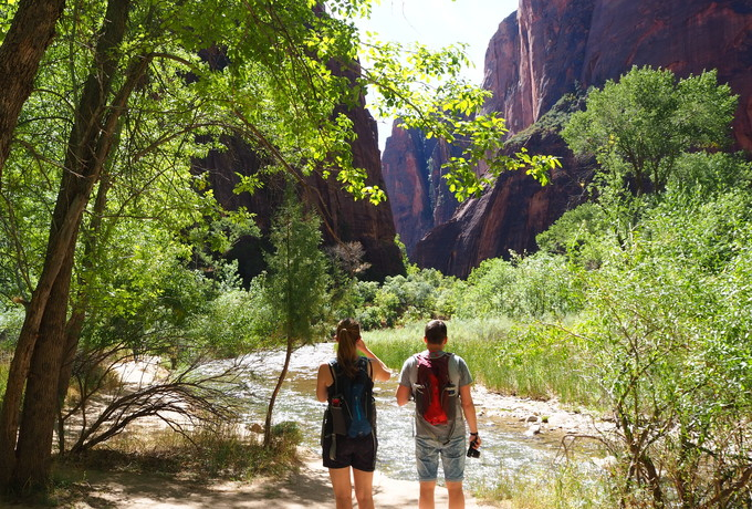 OhT[ŃuUCIv͒fRǂ̒̃IAVXI