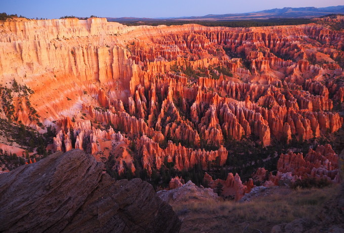 čuCXLjIuHooDoov̐Fʂ͐_II