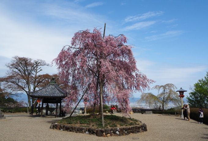 sRuPv̎lG܁X̉ԌiF͌I