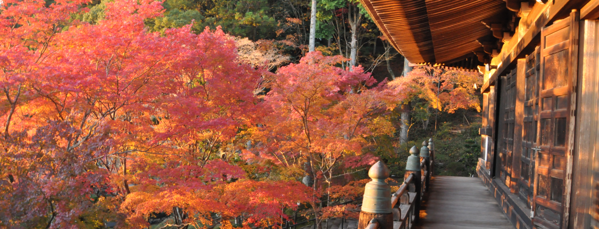 kd\gtX|bgIdBŔӏH𖞋iׂI