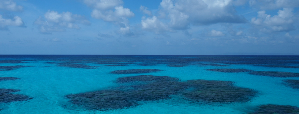 ���{�œ�[�̓��u�g�Ɗԓ��v�Ő�Ό������Ȃ��X�|�b�g5�I�I