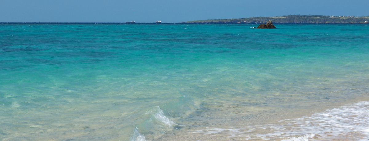 [Yiuɉꃊ][g𖞋iIuIEUEr[`E[vɔ܂鉫XeC