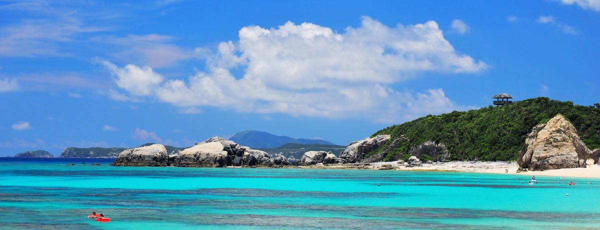 ߔeAōsyunÕ~vŐiCƊ{[gVm[PcA[