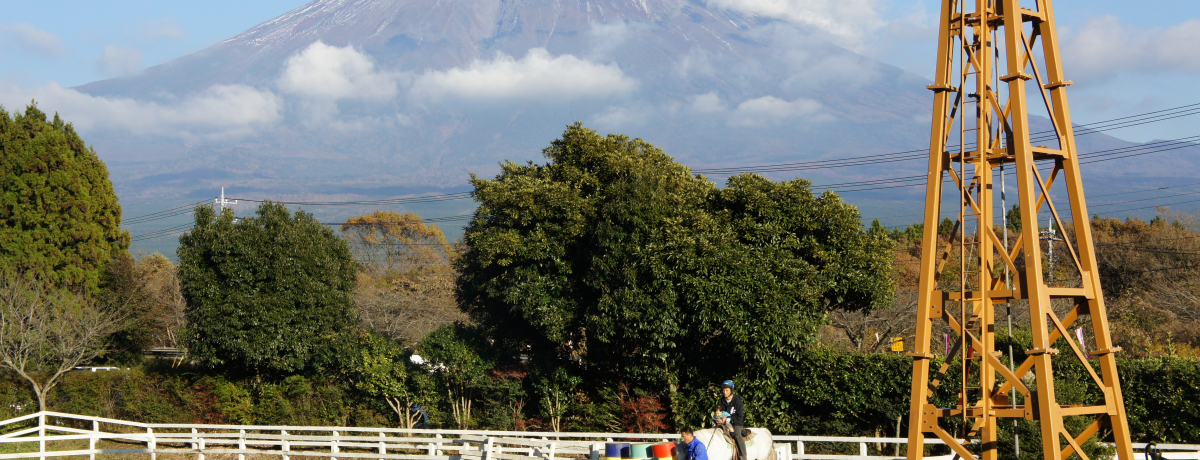 �x�m�R���������I���������܂����̖q��łӂꂠ���̌����A�H���w�ڂ��I