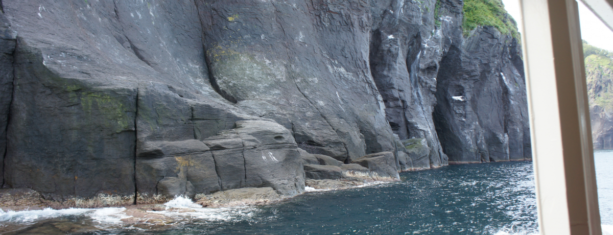 鋫߂ĒmόD[1Ԕ̃N[WO