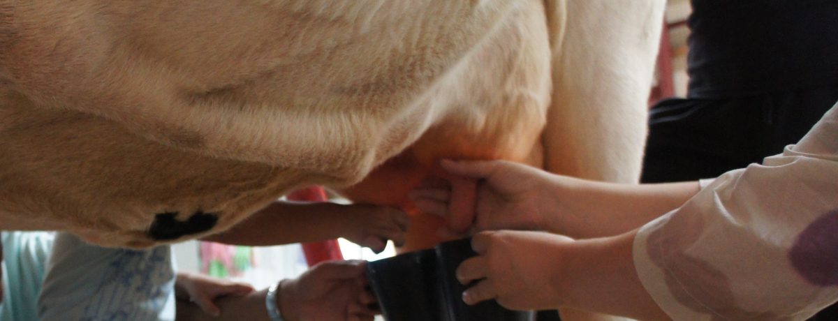 �����̌��Ƒ呐�����g���N�^�[�Ŏ��V�I�����E�n�ӑ̌��q��