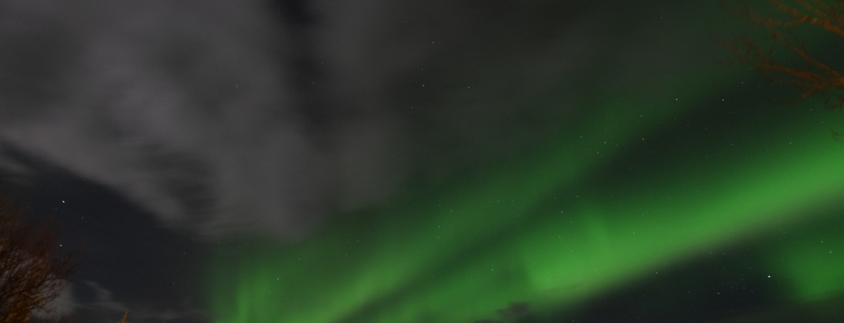 BẽRc`I_̐iI[ACXhŊyށI