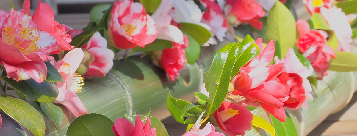 t̒ւIsENw̓́uӎvʌJ