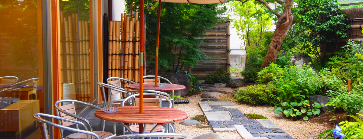 �e���X�Ȃ��f�G�I���s�E�������Q���́u������v�ł����������x�e��