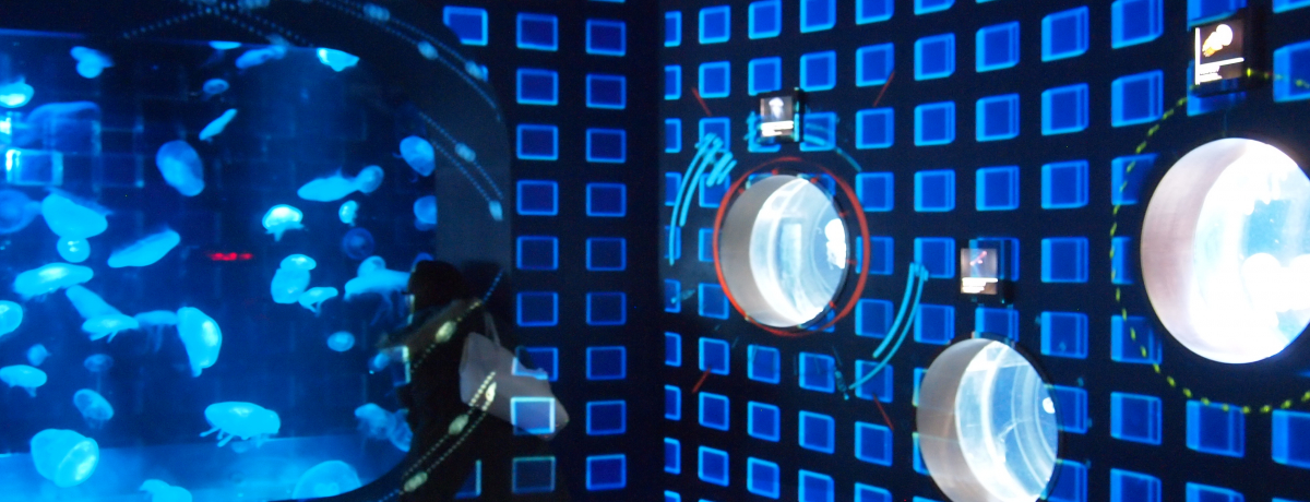 ���Ԃ��y���߂�I���s�����ق�3D�v���W�F�N�V�����}�b�s���O�I