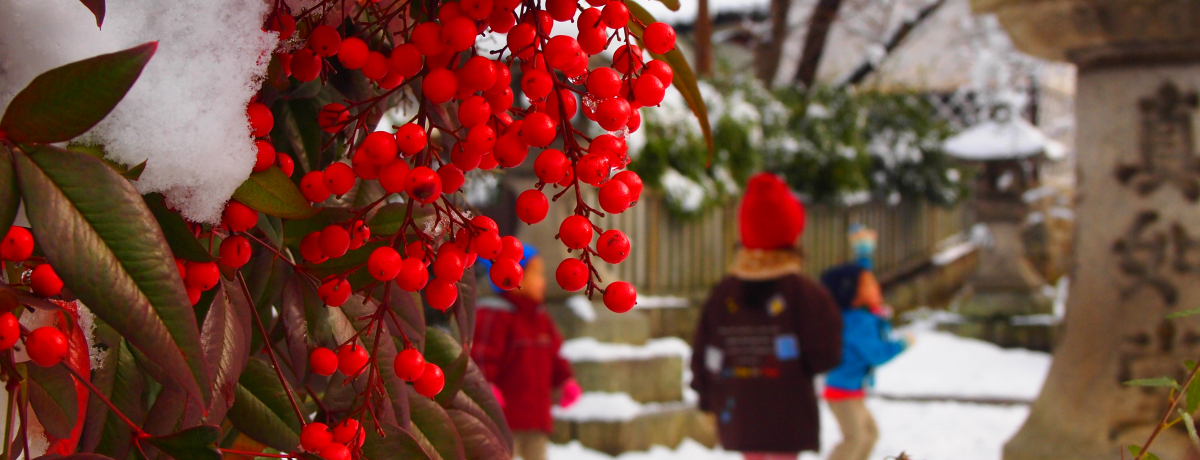 s͓~KꂽIVfGȐ̉ԍ炭^@