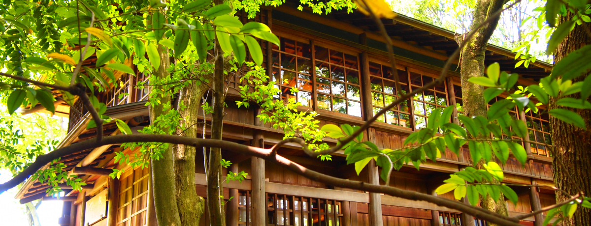 ā`Ă߁IsEgcRŏoJtFuΈv