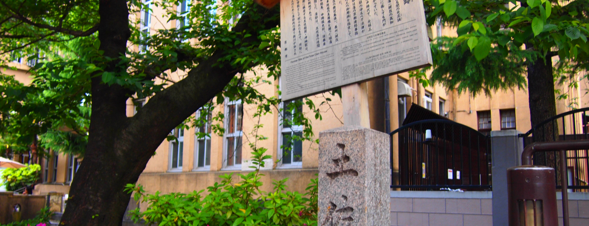 ����ς�l�C�̍�{���n�I���s�E�͌����̊֘A�X�|�b�g�����낤