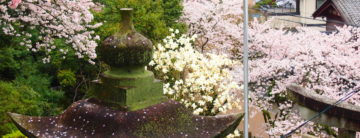 �t�̍����������`���̖����̗��I���ꌧ�E����h