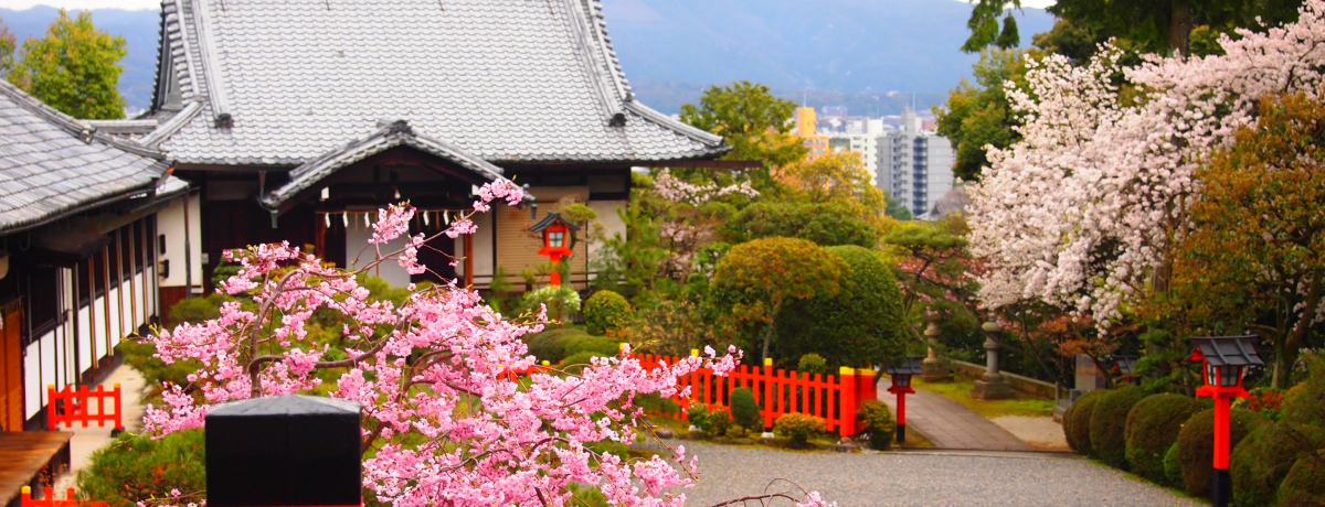 DcMJ鋞sEDRuM_Ёv̔ƓR̒]I