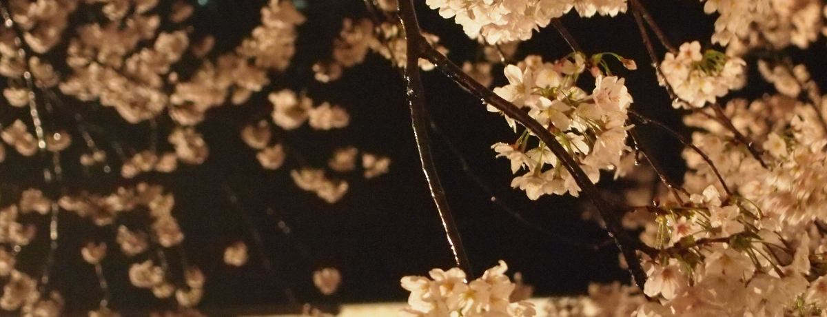 Ί_Ɩ̃R{zIIFũCgAbvv