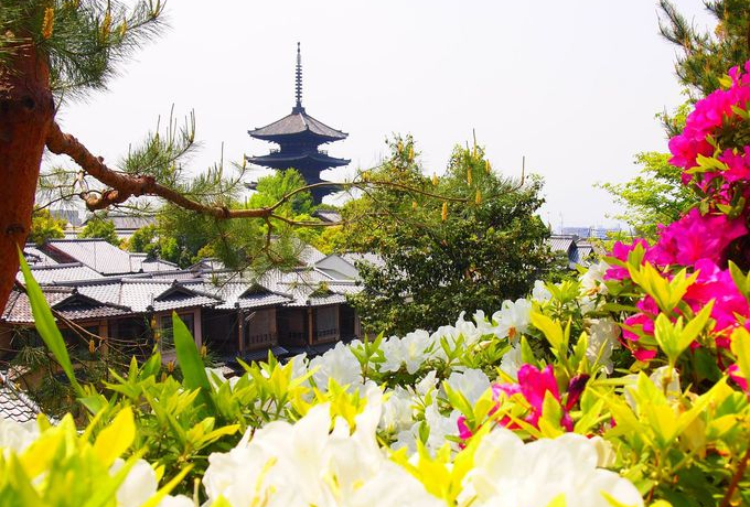 [ԖIV΂̋sŊyރTcLƃccW̖TI