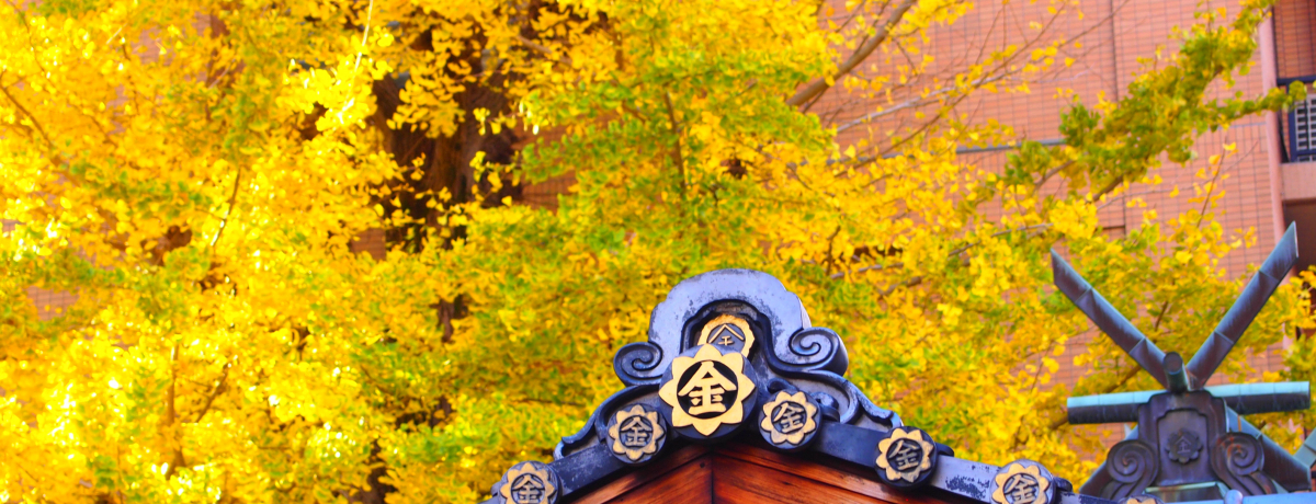 ���s�u����_�Ёv�H�̉����C�`���E�ƃS�[�W���X����ŋ��^�A�b�v�I