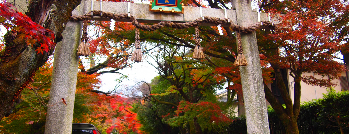 ~W̃glėǉFIskuX_Ёv