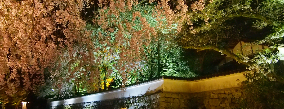 Ί_ƍ̌i͈IꌧuO䎛vt̃CgAbv