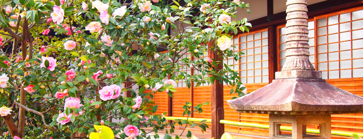 s֎En@vܐFdUւƂ̉pY揊